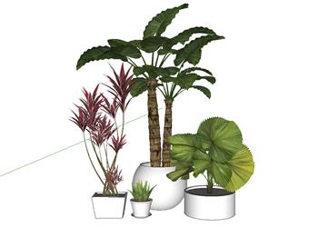 植物花盆摆件SU草图大师模型免费下载