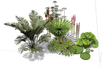 灌木配景植物SU模型