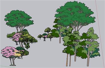 2D配景树SU模型