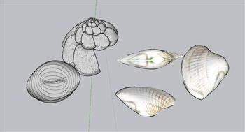 贝壳海螺景观SU模型