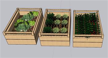 菜园花箱蔬菜SU模型
