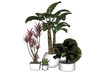 花盆盆景植物SU模型