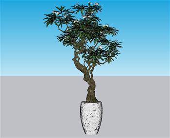 植物花盆SU模型