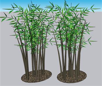 竹子景观竹SU模型
