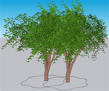 3D植物树木乔木su模型(ID33400)
