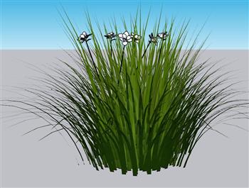小草植物SU模型