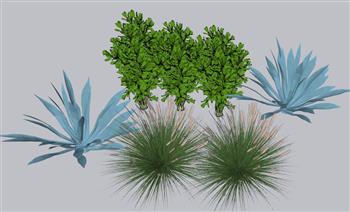 灌木植物配景SU模型