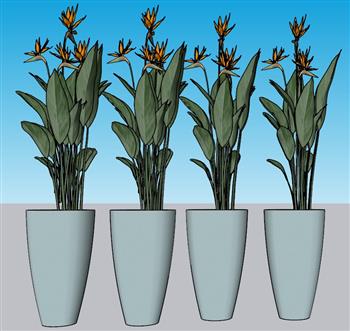 花盆植物SU模型