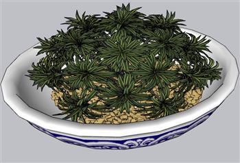 青花瓷花盆植物SU模型