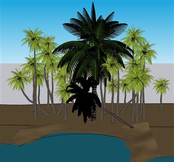 椰子树椰树树SU模型