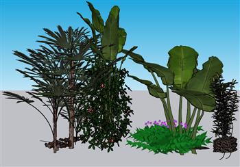 绿色植物乔木SU模型
