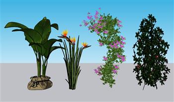 盆栽植物灌木SU模型