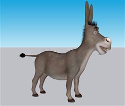 毛驴动物SU模型