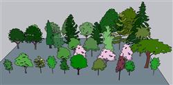 2D配景树植物SU模型