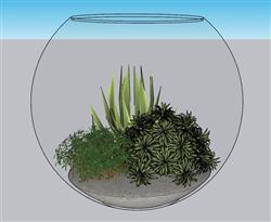 圆形花瓶植物SU模型