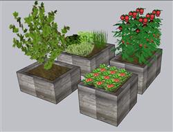 花箱植物SU模型