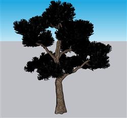 树木SU模型