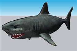 鲨鱼动物SU模型