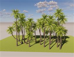 热带树景观树SU模型