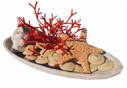 海星珊瑚装饰SU模型