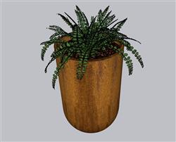 蕨类植物花盆草图模型(ID44926)