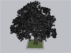 树池植物SU模型