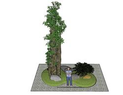 景观树树木SU模型