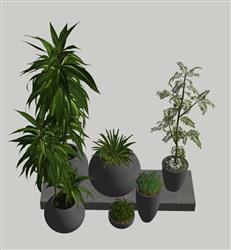 植物花盆SU模型