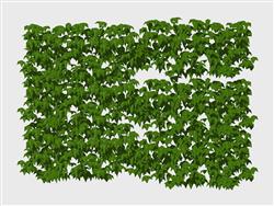 绿叶蔓藤植物SU模型