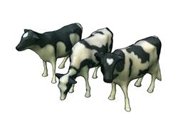奶牛动物SU模型