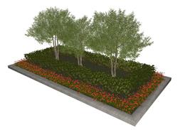 灌木花圃植物SU模型