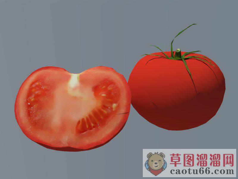 番茄西红柿蔬菜SU模型分享作者是【风口来袭】