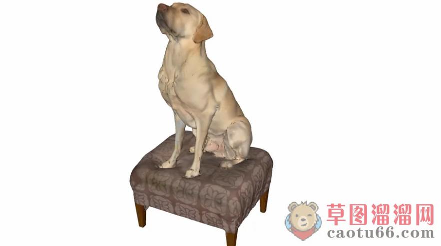 3D狗动物SU模型分享作者是【木子 双。】