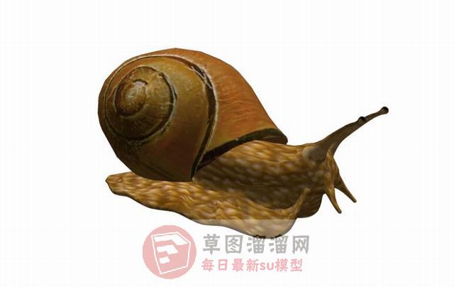 蜗牛SU模型分享作者是【龙腾腾】