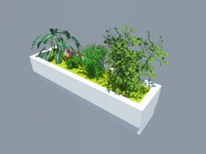 花圃花箱植物SU模型