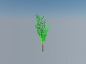 SU绿化植物竹子SU模型