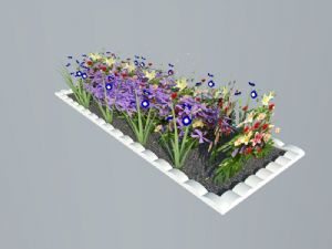 花坛花圃植物SU模型