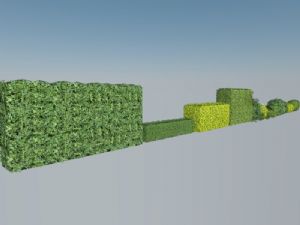 冬青绿化植物SU模型