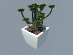 花瓶盆栽植物SU模型