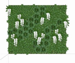 绿植墙-绿墙花架-植物墙