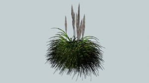 小草丛植物的SU模型