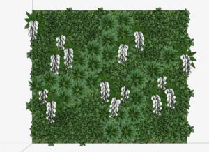 SU绿植墙景观植物免费模型