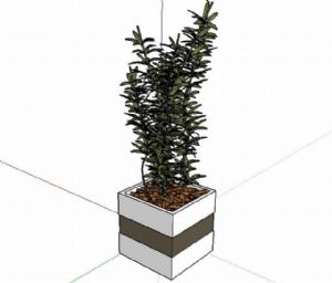 花盆盆景植物的SU免费模型下载