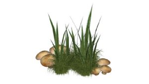小蘑菇+小草SU模型