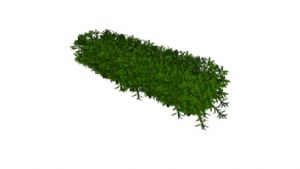 绿色景观植物SU模型