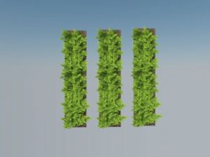 绿植墙+植物SU模型