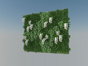 绿植墙+植物SU模型