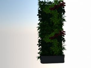 精细植物墙绿植墙SU免费模型
