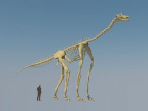 恐龙骨架恐龙SU模型