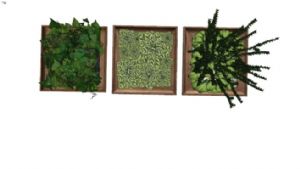 绿墙植物绿墙SU模型